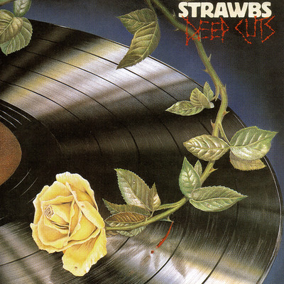 You Won't See the Light/Strawbs