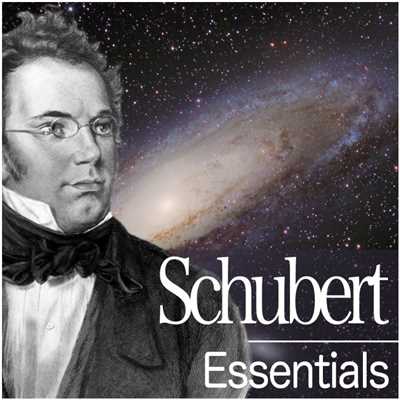 Schubert Essentials/Various Artists