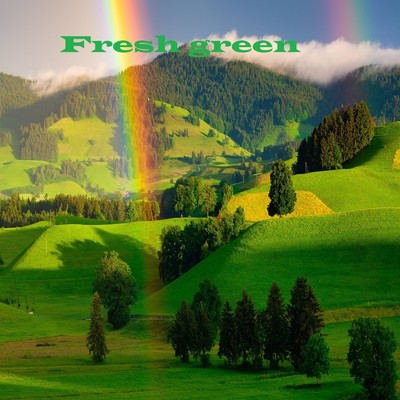 アルバム/Fresh green/山本一義