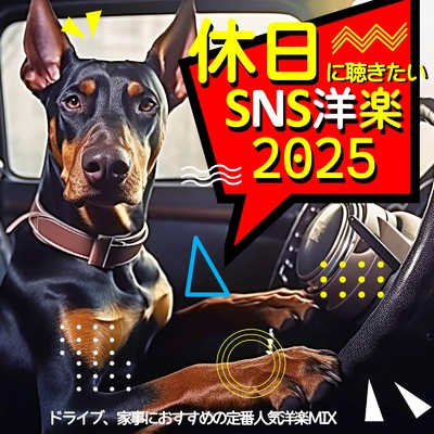 アルバム/休日に聴きたいSNS洋楽2025〜ドライブ、家事におすすめの定番人気洋楽MIX〜 (DJ MIX)/DJ GravityDrop