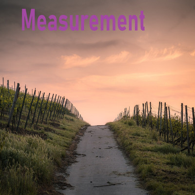 アルバム/Measurement/Agnosia fact