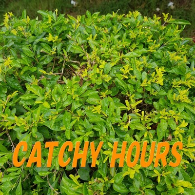 Catchy Hours/IchitaSamurakami