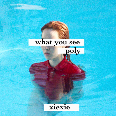 アルバム/what you see ／ poly/xiexie