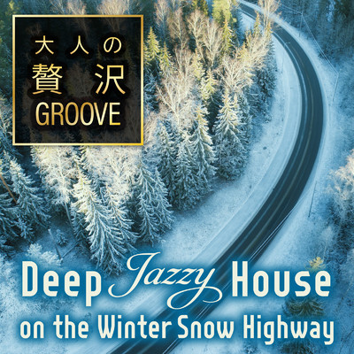 大人の贅沢GROOVE ～Deep Jazzy House on the Winter Snow Highway～ (DJ Mix)/Cafe lounge resort