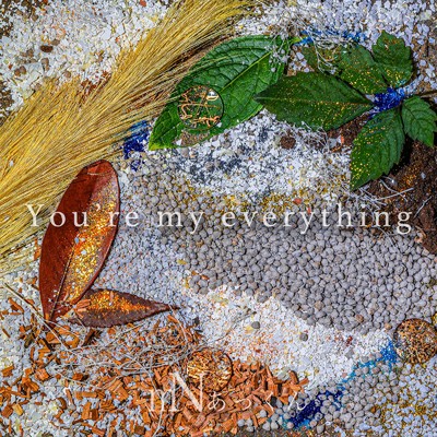 You're my everything/mN あっくん