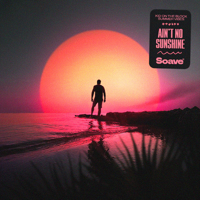 シングル/Ain't No Sunshine/Kid On The Block & Summer Vibes