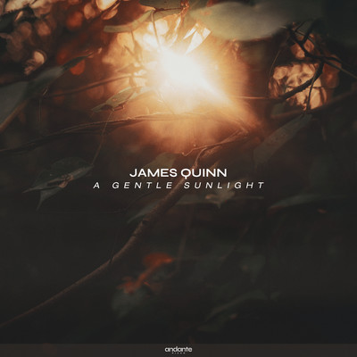 シングル/A Gentle Sunlight/James Quinn