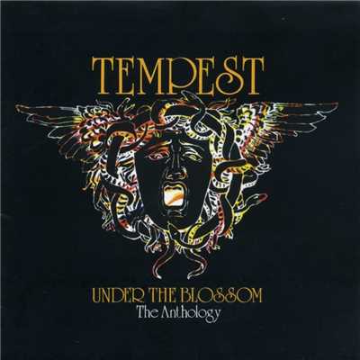 シングル/Foyers of Fun (BBC Session)/Tempest