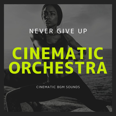 アルバム/NEVER GIVE UP/Cinematic BGM Sounds