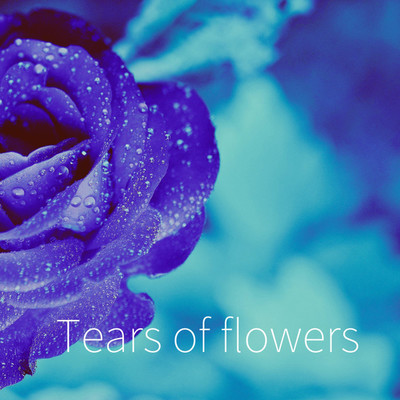 花の涙/ラッキーアイランド
