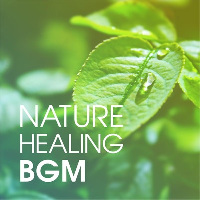 NATURE HEALING BGM -温もり溢れるリラックス・ミュージック-/Various Artists