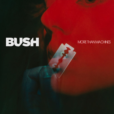 More Than Machines/Bush