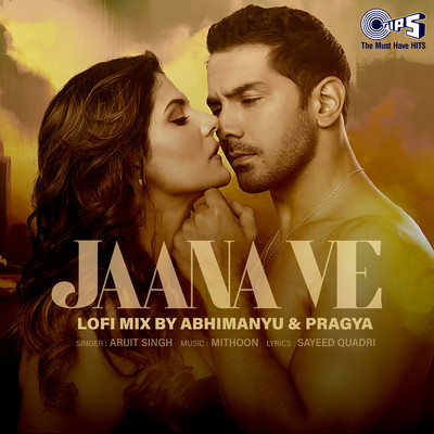 シングル/Jaana Ve (Lofi Mix)/Arijit Singh