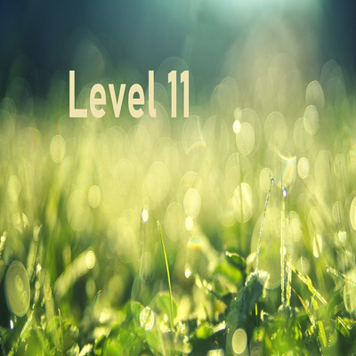 アルバム/Level 11/Agnosia fact