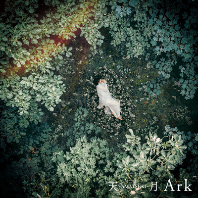 シングル/Ark/天月-あまつき-