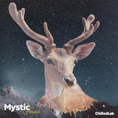 Mystic Forest/ChilledLab