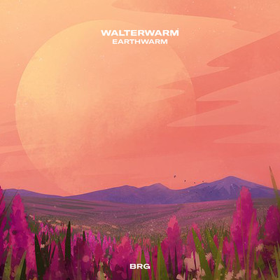 earthwarm/walterwarm & BRG Beats
