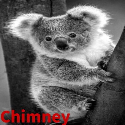 Chimney/Strongman