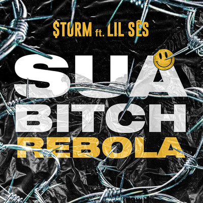 Sua Bitch Rebola (feat. Lil Ses)/$torm