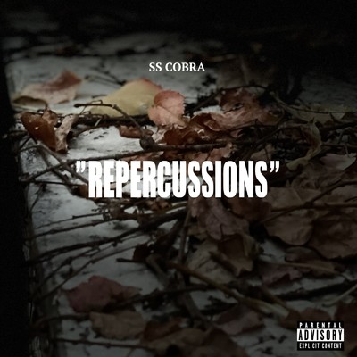 Repercussions/SS COBRA