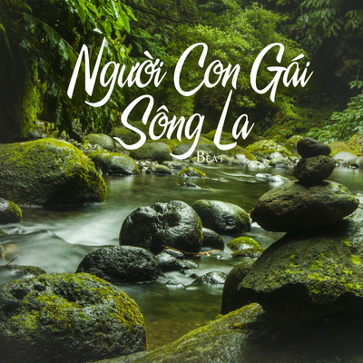 Nguoi Con Gai Song La (Beat)/NS Records