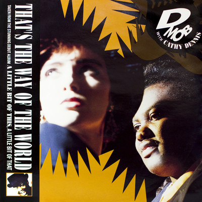 That's The Way of The World (with Cathy Dennis)/D Mob
