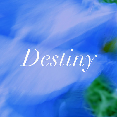 Destiny/Nijiya