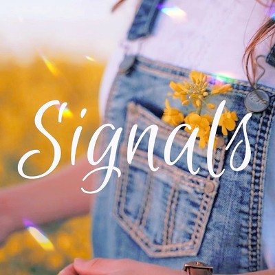 Signals/終夜トワ feat. 初音ミク