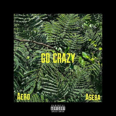 Go crazy (feat. ASEBA)/Aero