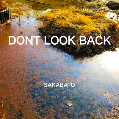 It's about time to_ ／ Don't Look Back/Sakabato