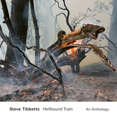 Hellbound Train: An Anthology/スティーヴ・ティべッツ