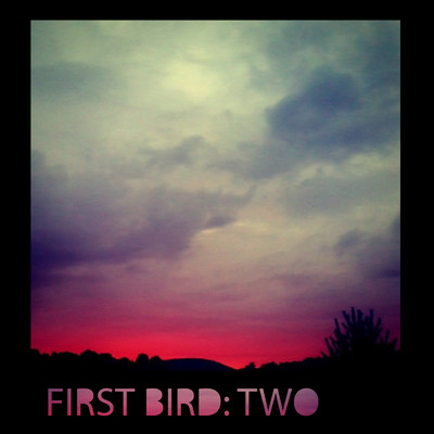 The First Bird You Hear in a Dream/First Bird