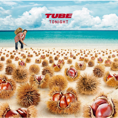 アルバム/TONIGHT/TUBE