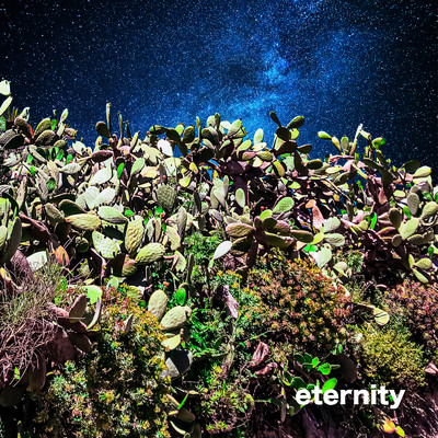 eternity/starRo