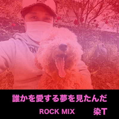 シングル/誰かを愛する夢を見たんだ (ROCK MIX)/染T