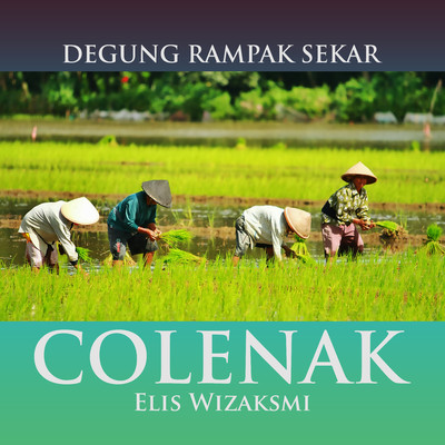 アルバム/Degung Rampak Sekar Colenak/Elis Wizaksmi