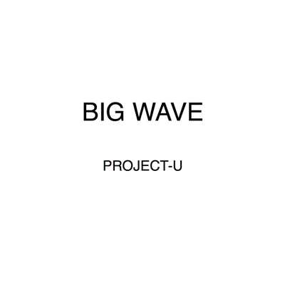 BIG WAVE/PROJECT-U