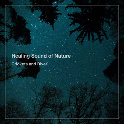 Nighttime Naturescape/Healing Sound of Nature