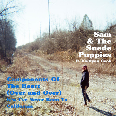 Components of the Heart (Over and Over) (feat. Kaitlynn Cook)/Sam & The Suede Puppies