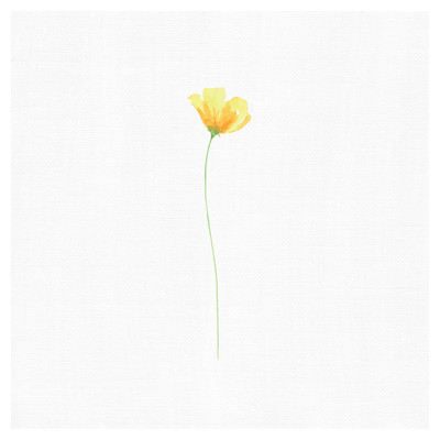 シングル/Spring/Adrian Kuipers
