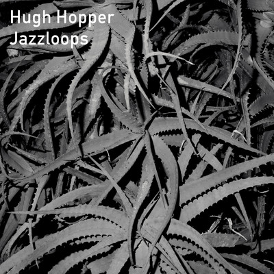 アルバム/Jazzloops/Hugh Hopper
