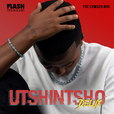 Ndilapha (feat. Thali Mambooica)/Flash Ikumkani