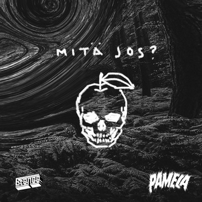 アルバム/Mita jos？/PAMELA