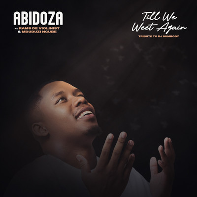 Till We Meet Again (Tribute to DJ Sumbody) [feat. Rams De Violinist & Mduduzi Ncube]/Abidoza