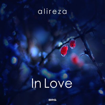 アルバム/In Love/Alireza