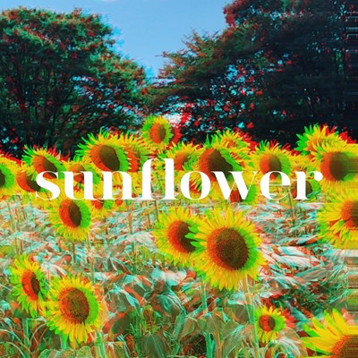 シングル/Sunflower/MANSION PARK