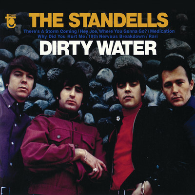 There Is A Storm Comin'/The Standells