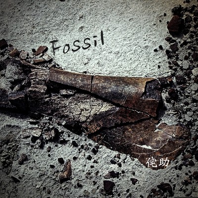Fossil/侘助