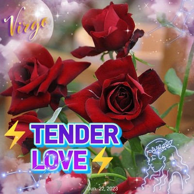 TENDER LOVE/X ROSE .JD