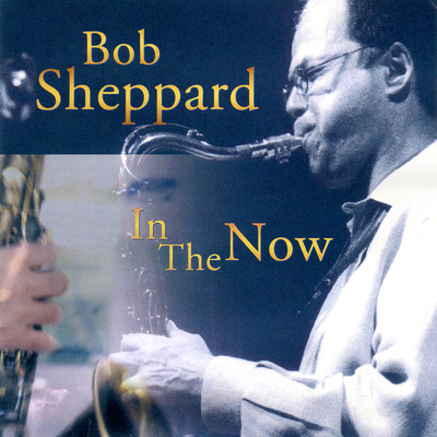 Charcoal Blues/Bob Sheppard